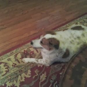 Meet your Posher, Pam